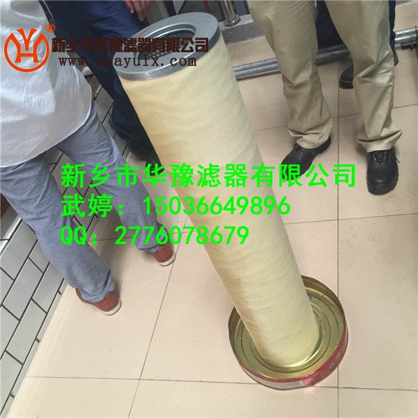 聚結(jié)濾芯DM3817-00-GWB
