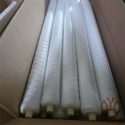3M線繞濾芯DPPPZ-1(聚丙烯材質(zhì)線繞/0.5um/10英寸)