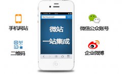 手機網(wǎng)站目前優(yōu)化有哪些技巧？/